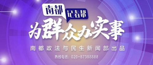 东莞南都今日新闻头条,聚焦今日热点，解码城市脉搏